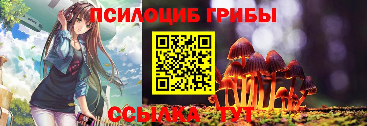 Лесосибирск  Псилоцибиновые грибы MAGIC MUSHROOMS  Галлюциногенные грибы мицелий  Вход с VPN 