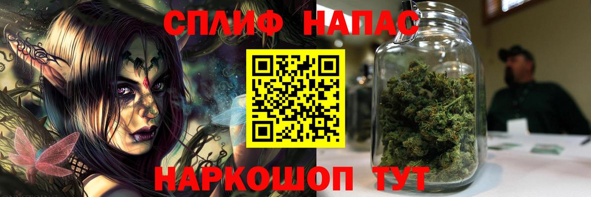 Каннабис сатива Лесосибирск